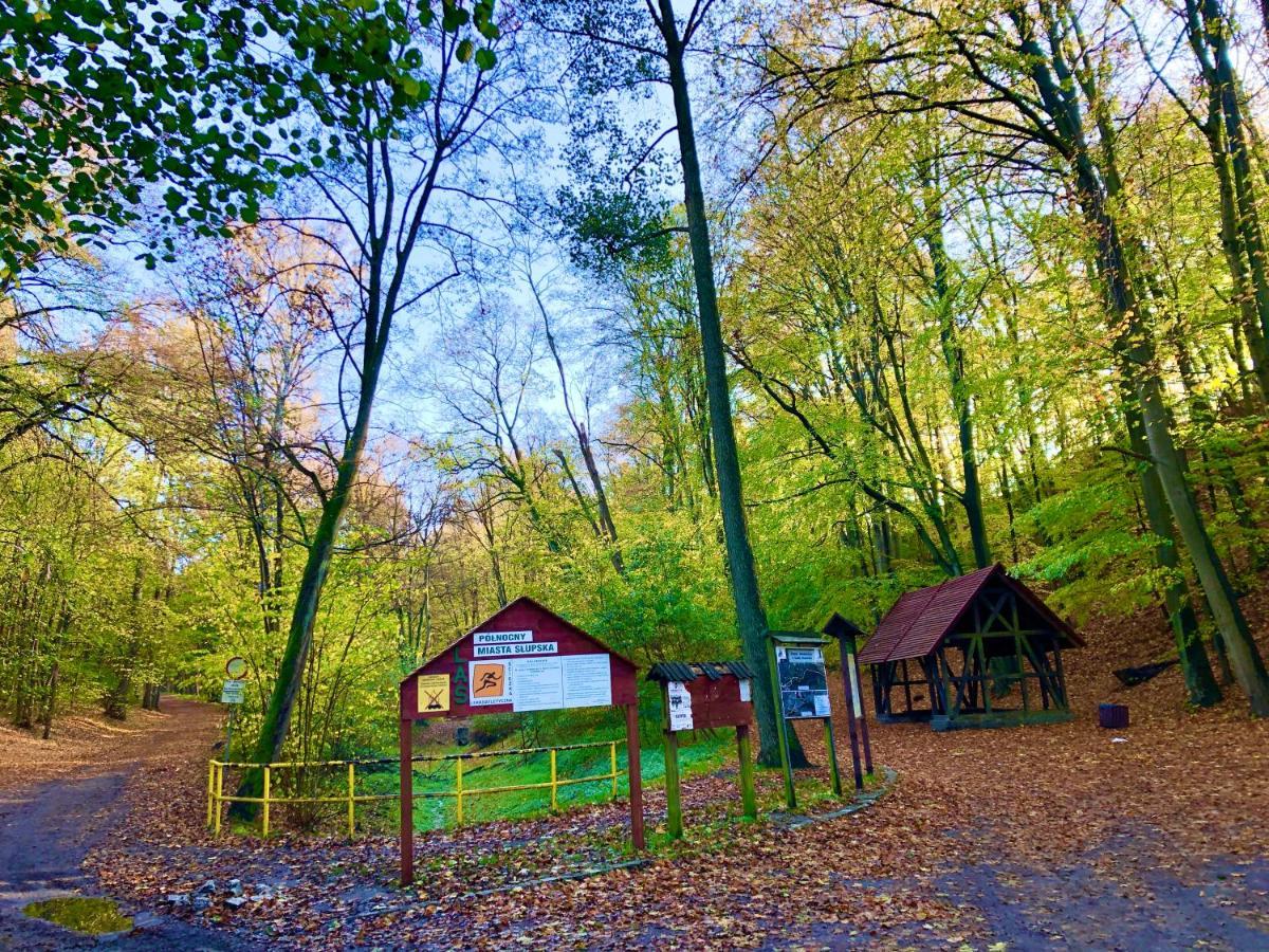 Las Slupski Premium Business Apartament Nr 7 Wifi Netflix Smart Tv50 Two Bedrooms Two Extra Large Double Beds Up To 6 People Full Pleasure Quality Stay (Adults Only) Extérieur photo